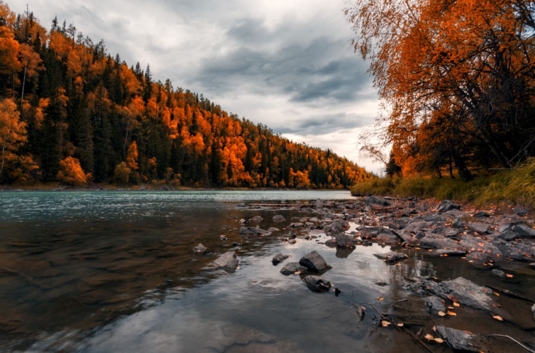 做自己的錦鯉！_騰凱融資租賃
