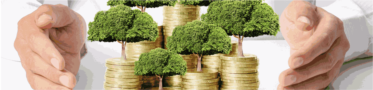 上海綜合保稅區(qū)貿(mào)易發(fā)展處處長(zhǎng)陳希：保稅區(qū)將為“融資租賃行業(yè)”提供配套業(yè)務(wù)的綜合服務(wù)平臺(tái)_騰凱融資租賃